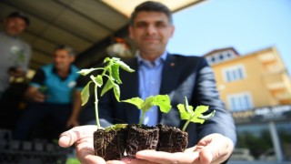 Kartepede 123 bin fide toprakla buluştu