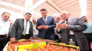 Kaş Tarım Sergisi açıldı