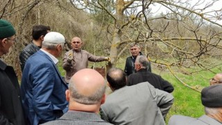 Kastamonuda üreticilere meyve ağaçlarında budama ve aşılama eğitimi verildi