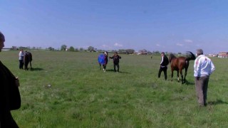 Kavasoğlu ve Şamdancıbaşı İbrahim Yağlı Güreşleri, at yarışları ile başladı