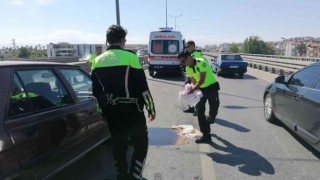 Kaza yapan araçtan yola dökülen yağı trafik polisi toz dökerek kapatmaya çalıştı