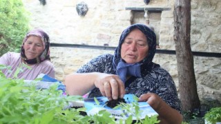 Kırklarelinde ata tohumdan üretilen fideler dağıtıldı