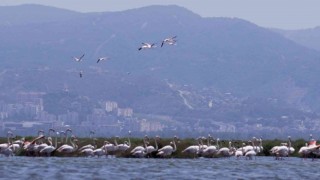 Körfezin en renkli teknesiyle ilk tekne turu