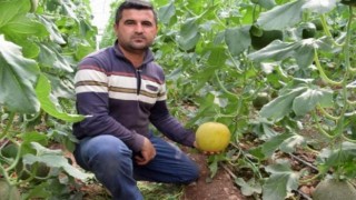 Kumlucada devrilen traktörün altında kalan sürücü hayatını kaybetti