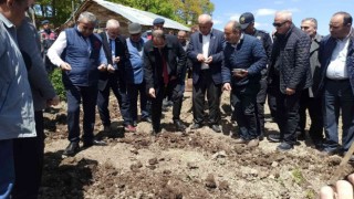 Kuru fasulye tohumları 1080 rakımda toprakla buluştu