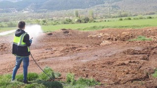 Kütahyada ilaçlama sezonu başladı