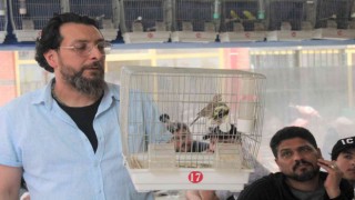 Kütahyada kuş meraklıları mezatta buluştu