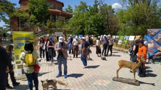 Kütahyada Uluslararası Biyolojik Çeşitlilik Günü etkinlikleri