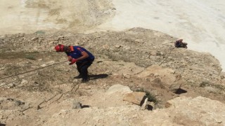 Mahsur kalan yavru dağ keçileri kurtarıldı