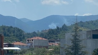 Manisada çıkan orman yangınında 1 hektar alan zarar gördü
