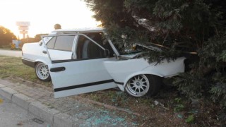 Manisada otomobil refüjdeki ağaca çarptı: 1 ölü, 1 ağır yaralı