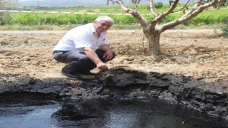 Manisada petrole benzer siyah sıvı heyecan uyandırdı
