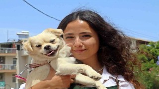 Marketteki köpeğe sebepsiz yere tekme attı, kamera kaydını izleyen genç kadının ağzı açık kaldı