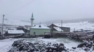 Mayıs karı her yeri beyaza bürüdü