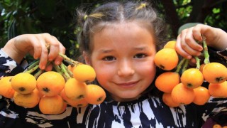 Mersinin sarı altını yenidünya üreticisini fiyatıyla sevindirdi