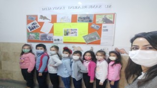 Minikler ‘Gerçek Doğa Koruyucuları projesiyle hayvanları yakından tanıdı