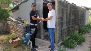 Misafir diye evine aldığı adam 8 güvercinini çaldı