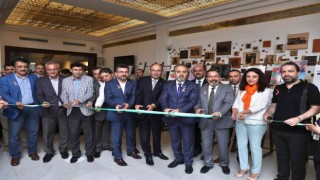 MS duyarlılığı sergisi