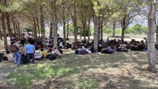 Muğlada 237 göçmenin yakalandığı operasyonda 3 tutuklama