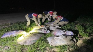 Muradiyede kaçak avlanmış 6,5 ton balık ele geçirildi