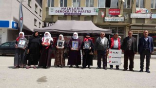 Muşta evlat nöbeti tutan ailelerin sayısı 35e yükseldi