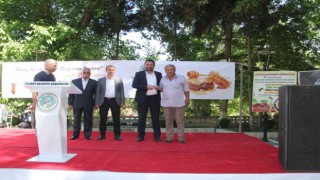Mutta bal üreticilerine Kafkas ırkı anaç arı dağıtıldı