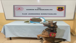 Narkotik köpeği uyuşturucu tacirlerine göz açtırmıyor