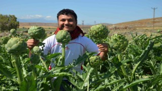 Öğretim üyesi memleketi Hatayda ilk defa yetiştirdi