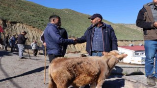 Oltu hayvan pazarında satışlar devam ediyor