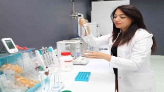 Önce Japonlar sonra da Türk bilim adamları araştırdı