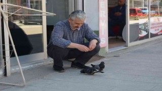 Orduda berberin güvercinlerle dostluğu