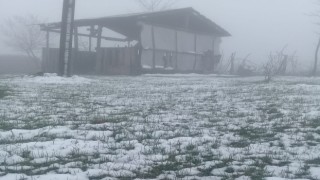 Orduda mayıs ayında kar yağışı