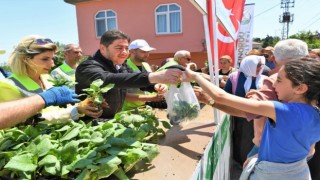 Orduda üreticilere 200 bin adet fide desteği