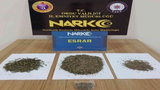 Orduda uyuşturucu operasyonunda 12 şüpheli gözaltına alındı
