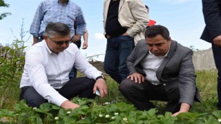Organik köy, çok yakında Balıkesirde