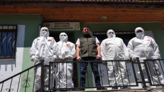Ormanlarda böcek savaşları başladı
