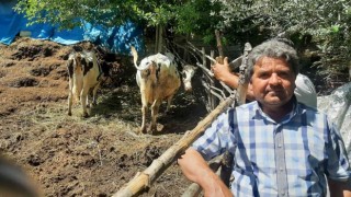 Osmaniyede köylülerden ucuz süt fiyatına tepki