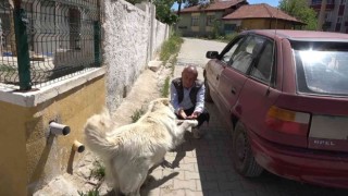 Otomobilini o halde görünce güvenlik kamerasını inceledi, karşılaştığı manzarayla şoke oldu