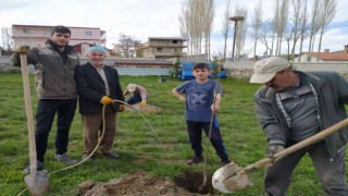 Özalplı gençler geleceğe nefes olmak için fidan dikti