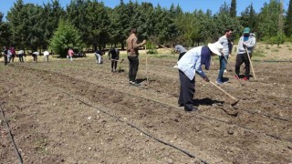 (Özel) Kapıdaki gıda krizi için çözüm üretimden geçiyor