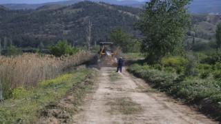 Pamukkalede çiftçilere yol desteği