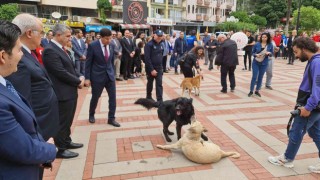 Protokolün sokak köpekleriyle imtihanı