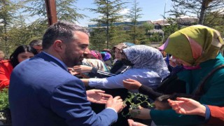 Pursaklarda yaklaşık 20 bin fide dağıtıldı