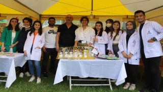 SANKO Üniversitesi Gençlik ve Spor Festivalinde