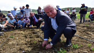 Sebze Yetiştiriciliği Kursunda fide ve tohumlar toprakla buluştu