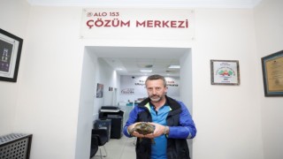 Şehir trafiğinde mahsur kalan kaplumbağaya belediye sahip çıktı