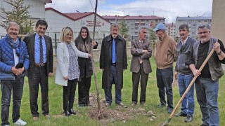 Şehitler için ‘vefa bahçesi kuruldu