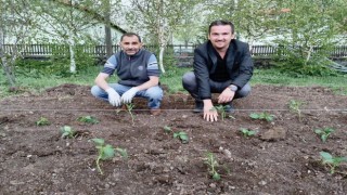 Selimde kurulan seraya ilk fide dikildi