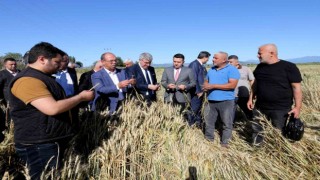 Şiddetli dolu yağışında 40 bin dekar tarım arazisinin zarar gördüğü tespit edildi