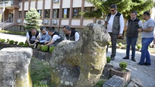 Şimşir güvesi zararlısıyla mücadelede biyolojik çalışmalar sürüyor